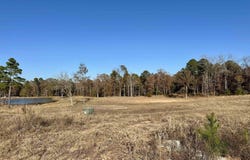 178 Eagle Creek Dr, Diana, TX 75640
