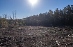 4058 Mcclain Road, Liberty, MS 39645