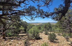 Lot 16 Unit 4, Tierra Amarilla, NM 87575