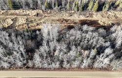 Parcel A Parameter Road, Deer River, MN 56636