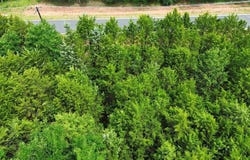 Lot 33 Palisades Add III TBD, Gordonville, TX 76245