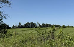 County Rd 2760, Clark, MO 65243