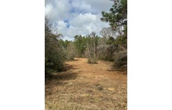 Bisbee Drive, Lumberton, MS 39455