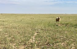 Shear Road, Rush, CO 80833