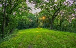 County Road S, Blair, WI 54616