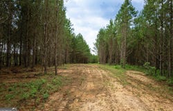 375 Bagley, Forsyth, GA 31029