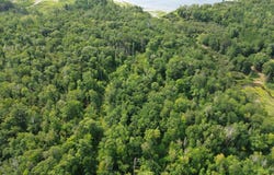 22751 County Road 1, Emily, MN 56447