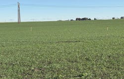 NKA Vineyard Drive (Parcel C), Pasco, WA 99301-0000