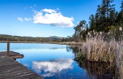 42502 N Sylvan Rd, Elk, WA 99009