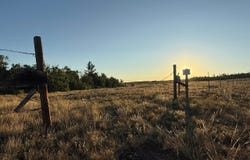 0 Dewclaw Rd, Red Feather Lakes, CO 80545