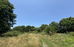4681 US Highway 62, Mays Lick, KY 41055