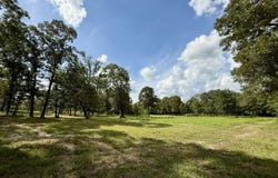 5573 County Road 1, Chatom, AL 36518