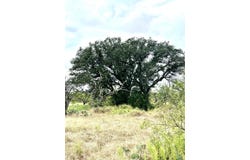 1981 Kothman Rd, Mason, TX 76856