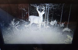 N Twin Creek Road, Luther, MI 49656