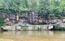 0 Hwy 81, Phil Campbell, AL 35581