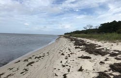 CHURCH NECK RD lot: 41, MACHIPONGO, VA 23405