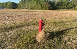 2552 Joseph Lemon Dingle  Rd., Manning, SC 29102