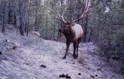 220 Bascom Ln, Melstone, MT 59054