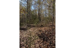 0 Bowden Rd, Honoraville, AL 36042