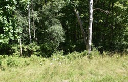 3210-072-6 BLOOMING VALLEY Road, Meadville, PA 16335