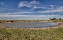 11552 Fm 1383, Schulenburg, TX 78956