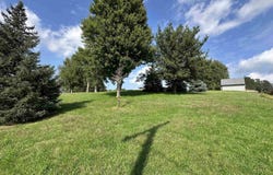 917 E Sherman Street, West Point, NE 68788