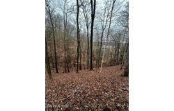 Lot 743 Russell Brothers Rd, Sharps Chapel, TN 37866