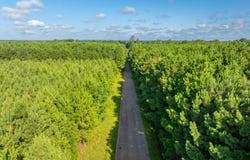 TBD Oakland Bridge, Spearsville, LA 71277
