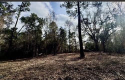 Elaine Street, Waveland, MS 39576