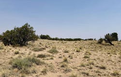 0 RD 6245, St. Johns, AZ 85936