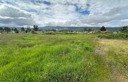 4 Springer ST, Cathlamet, WA 98612