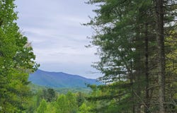 584 Dotson Road, Trade, TN 37691