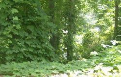 3310 Monans Rill Cove, Hernando, MS 38632