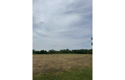 Mitchell Loop, MCKENZIE, TN 38201