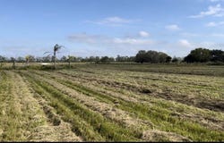 1503 S Header Canal Road, Fort Pierce, FL 34945