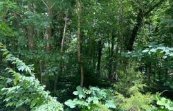 103 Poplar Circle, New Haven, KY 40051
