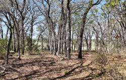280 Private Road 2162, Iredell, TX 76649
