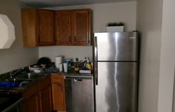 1016 maple, Paintsville, KY 41240