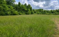 Settlement Road, Detroit, AL 35552