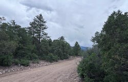 Lot 61 Upper Pinabete, Questa, NM 87556
