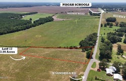 001 N Sandhill Road, Lena, MS 39094