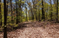 Lot 19 Mccord Bend, Galena, MO 65656