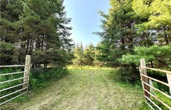 40 Acres W Poertner Road, Neillsville, WI 54456