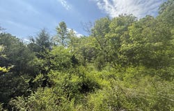 Bailey Road, Licking, MO 65542