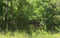 Hempstead 24 & 45, Blevins, AR 71857