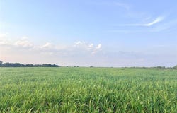 366 County Road 123, TX 76518