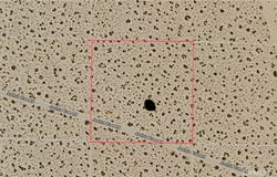 Joshua Tree, Lucerne Valley, CA 92285