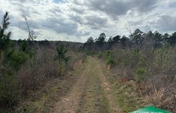 Watson Road, Plain Dealing, LA 71064