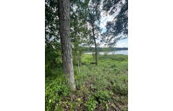 17915 Bluff Drive, Three Rivers, MI 49093