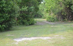 1661 Doughty Road, Summerton, SC 29148